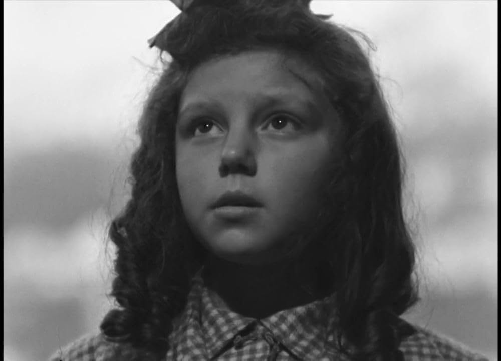 哀しみの無法者の画像