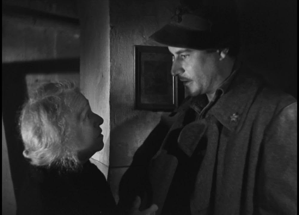 哀しみの無法者の画像