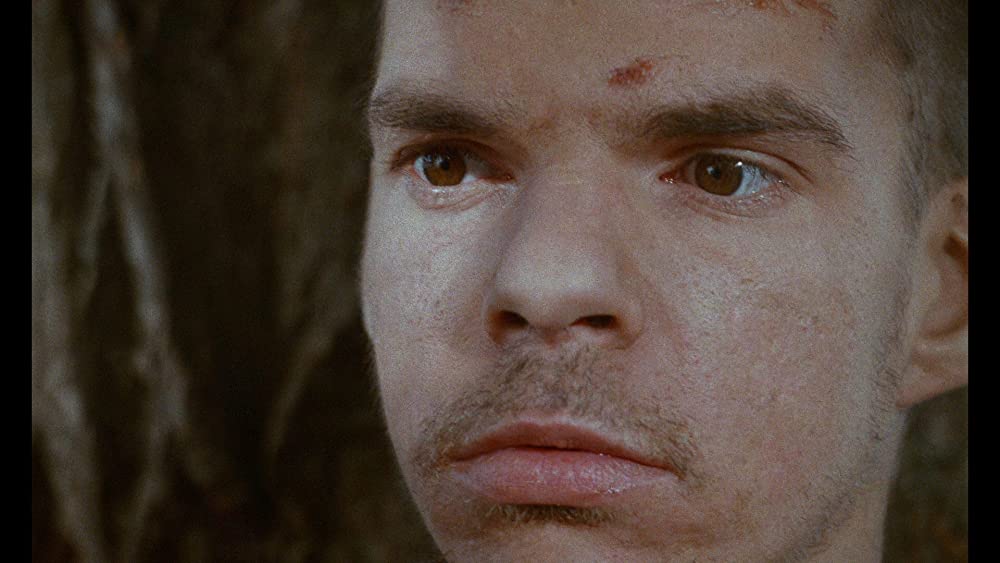 ポンヌフの恋人の画像