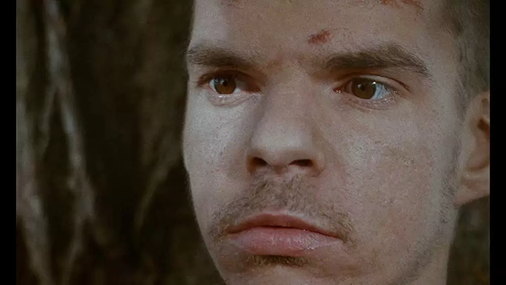 「ポンヌフの恋人」ドニ・ラバンの画像