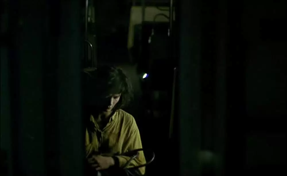 ポンヌフの恋人の画像