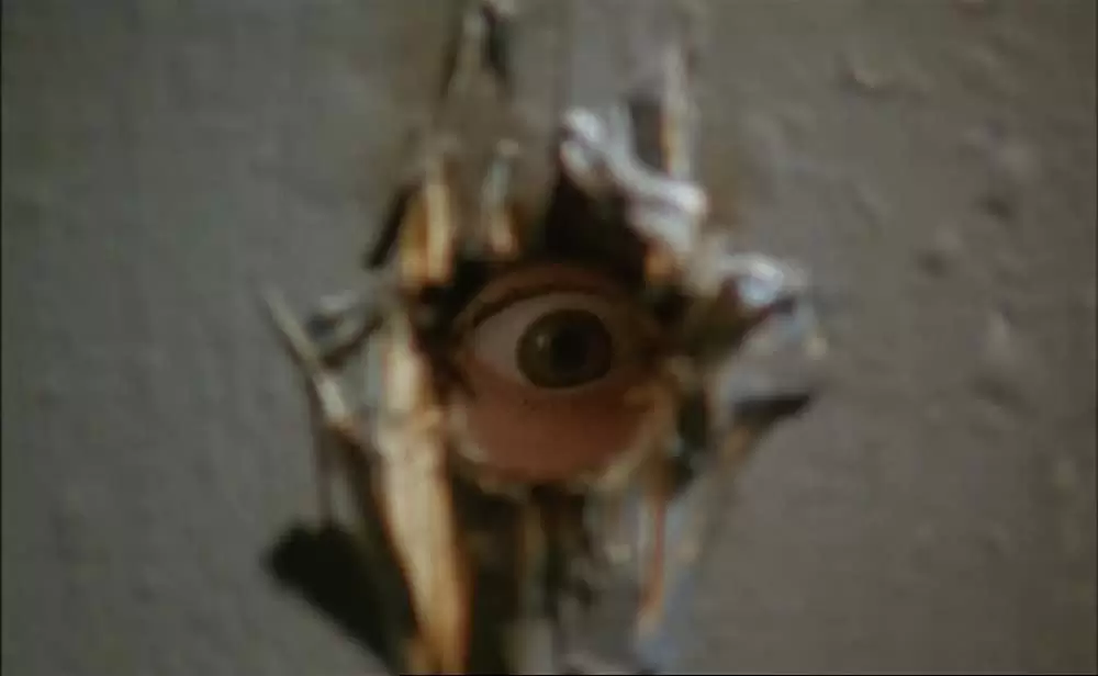 ポンヌフの恋人の画像