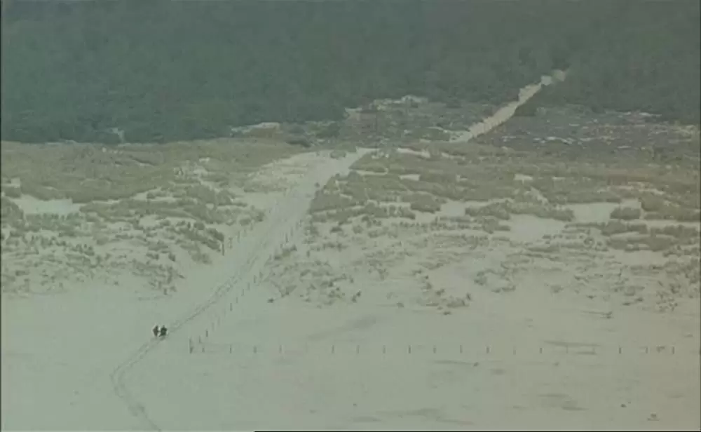 ポンヌフの恋人の画像