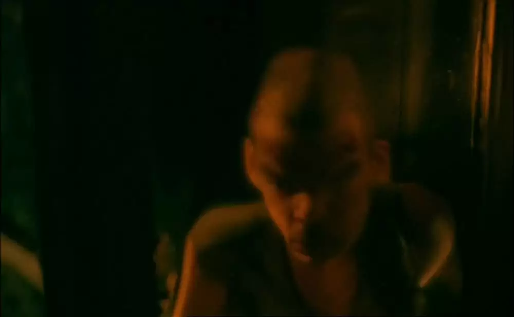 ポンヌフの恋人の画像