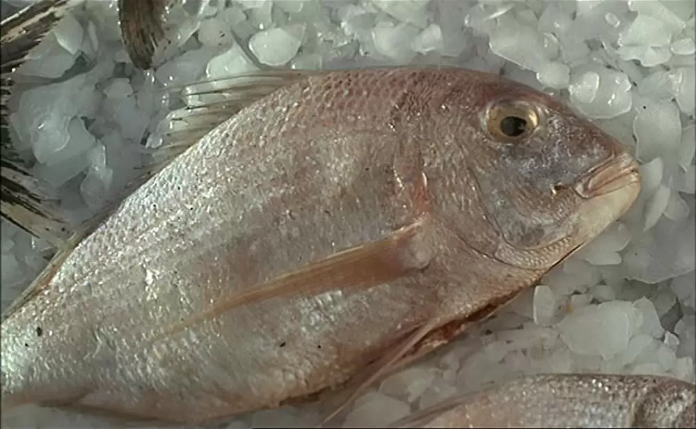 ポンヌフの恋人の画像