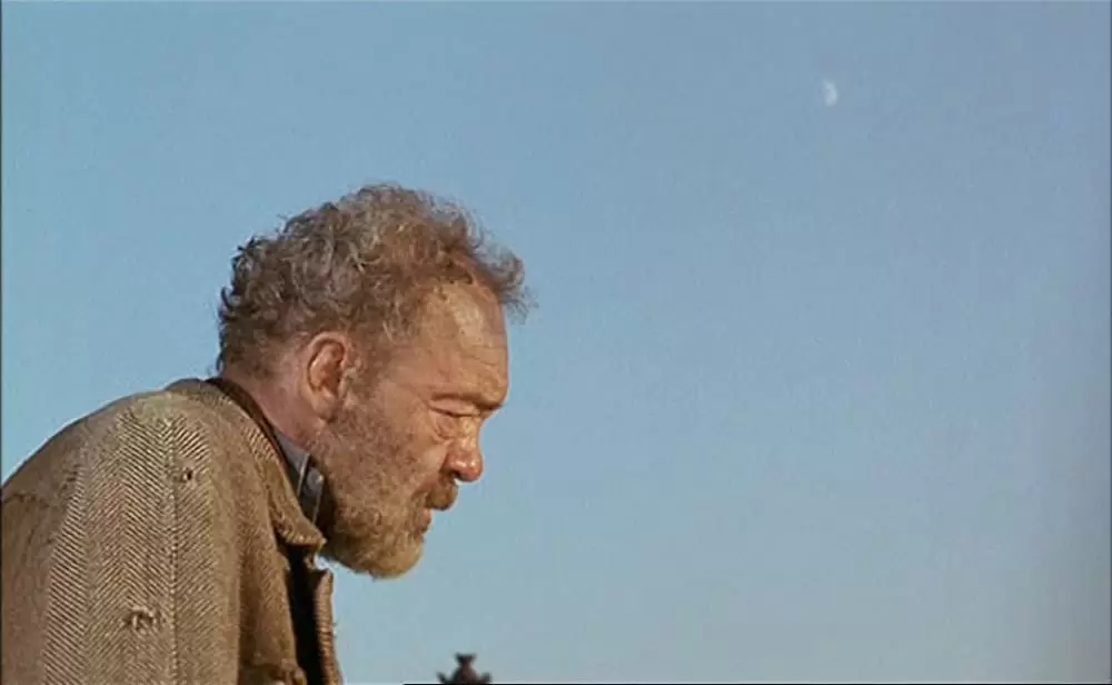 ポンヌフの恋人の画像