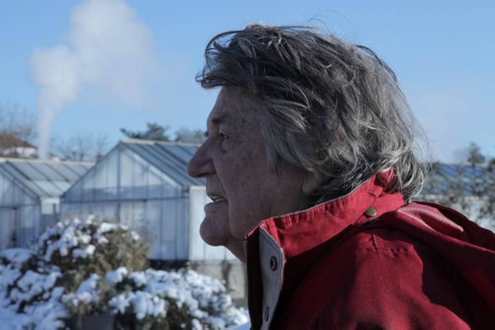 Dossier Toroto（原題）の画像