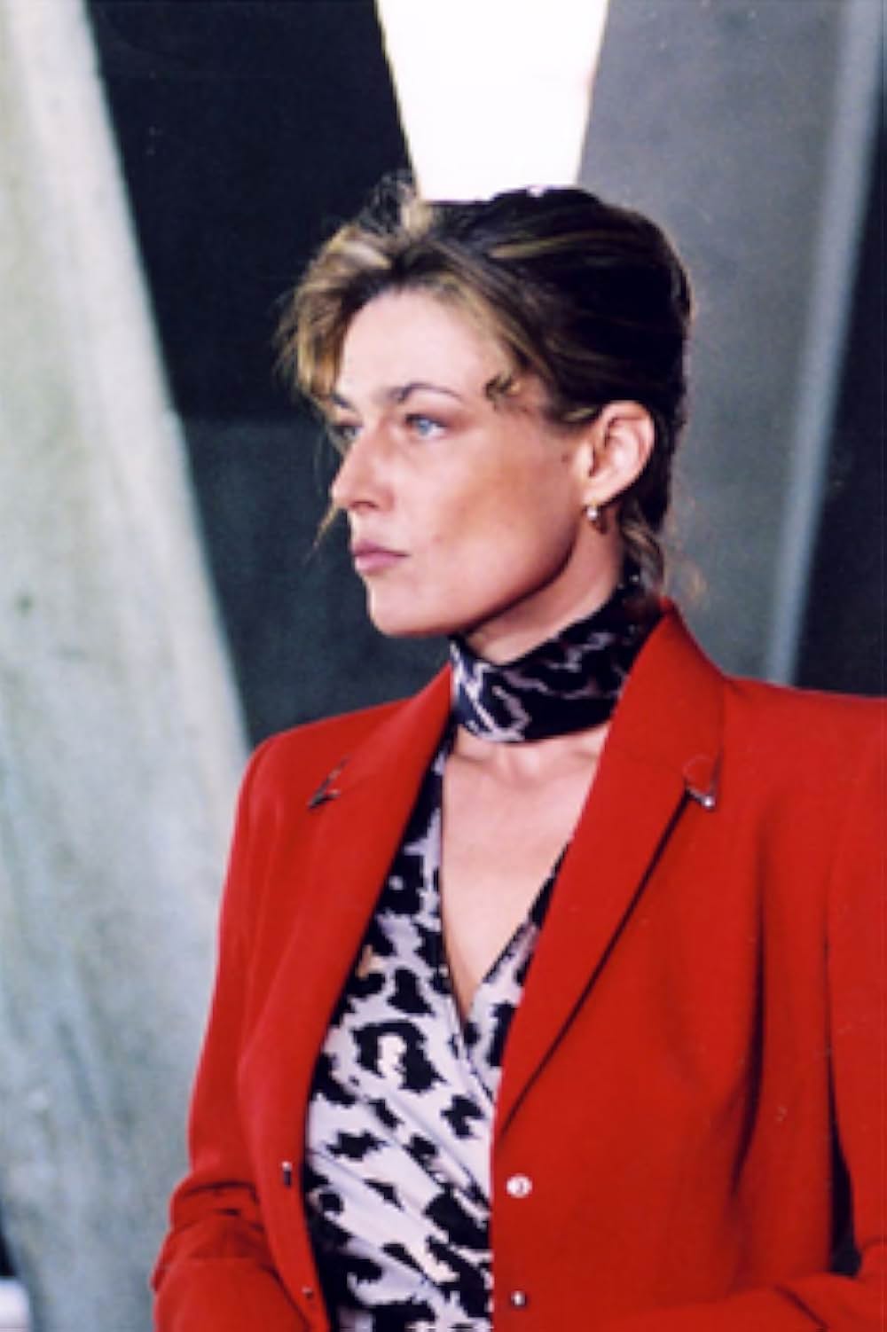 Les araignées de la nuit（原題）の写真