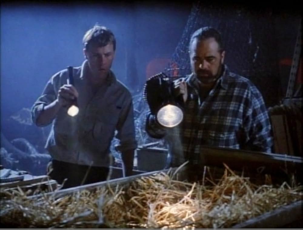 恐怖海域の画像