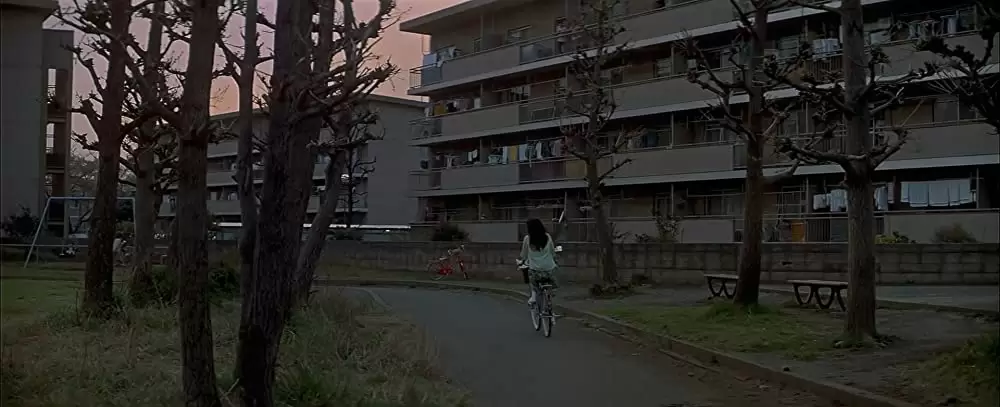 四月物語の画像