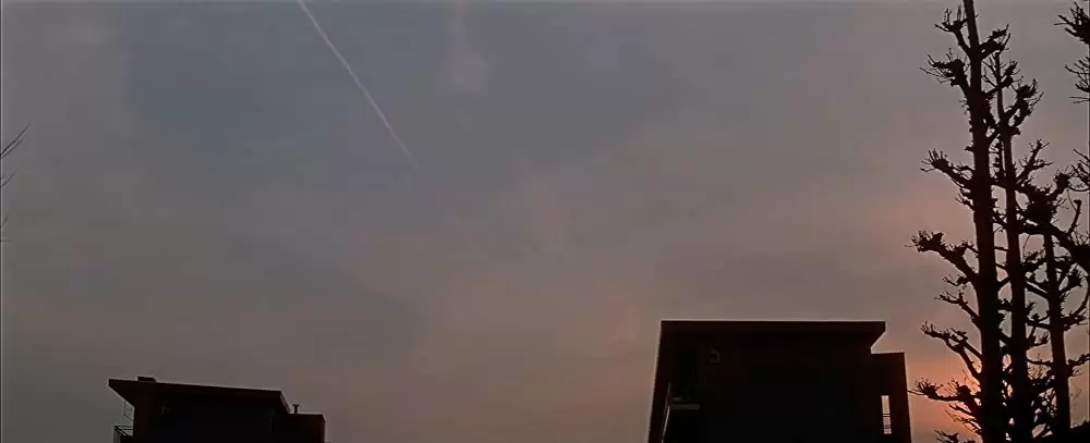 四月物語の画像