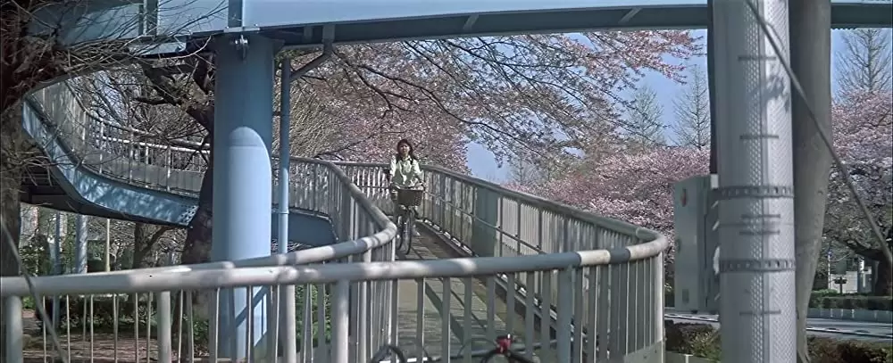 四月物語の画像