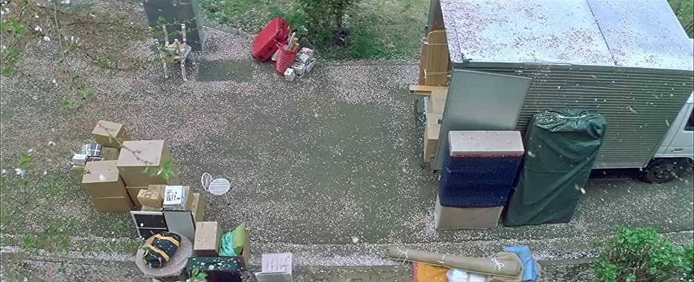 四月物語の画像