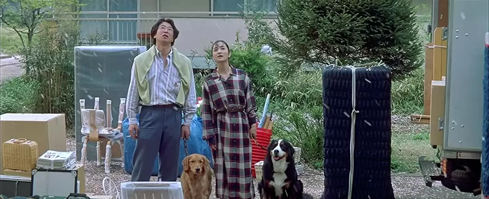 四月物語の画像