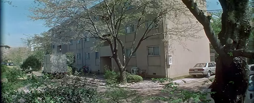 四月物語の画像