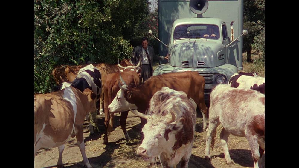 濡れたらダメよの画像