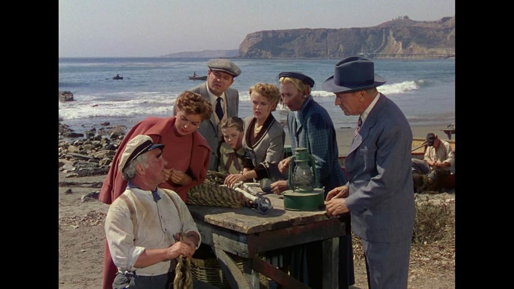 濡れたらダメよの画像