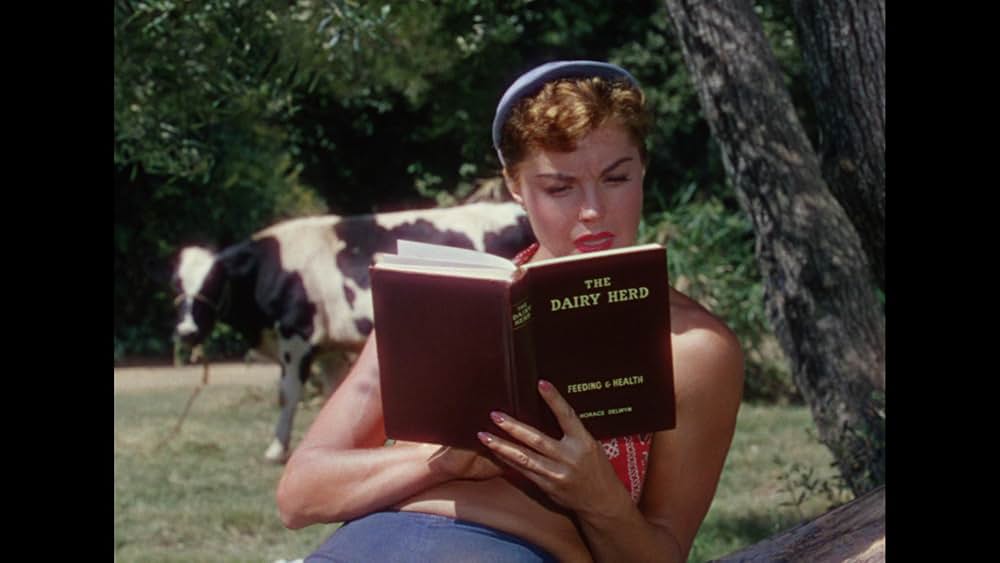 濡れたらダメよの画像