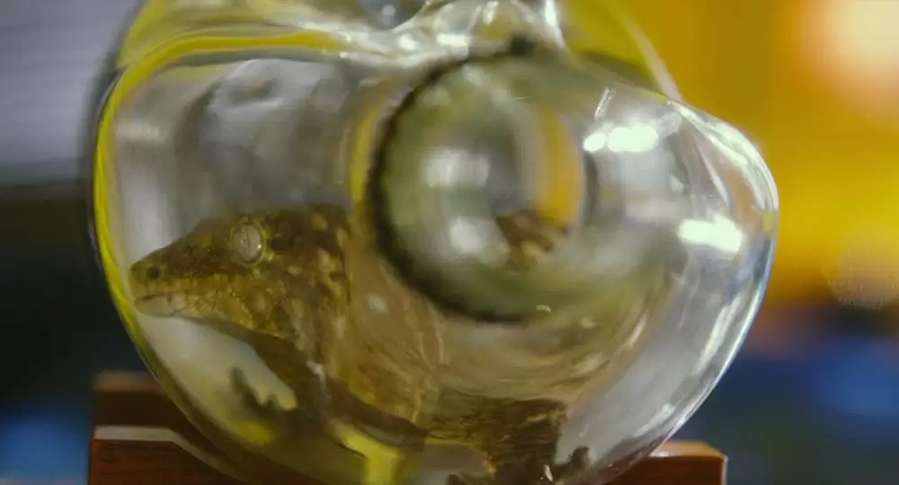 アンチポルノの画像