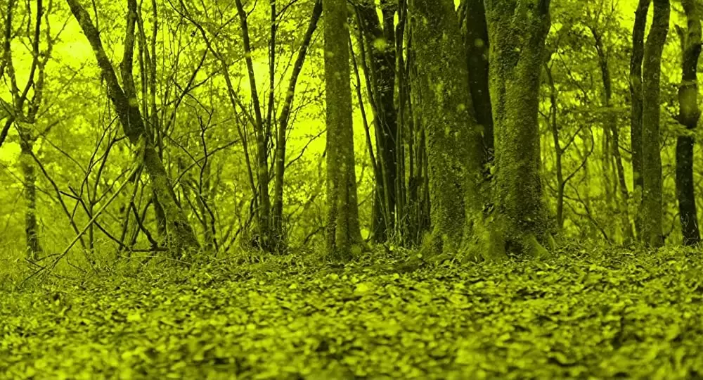 アンチポルノの画像