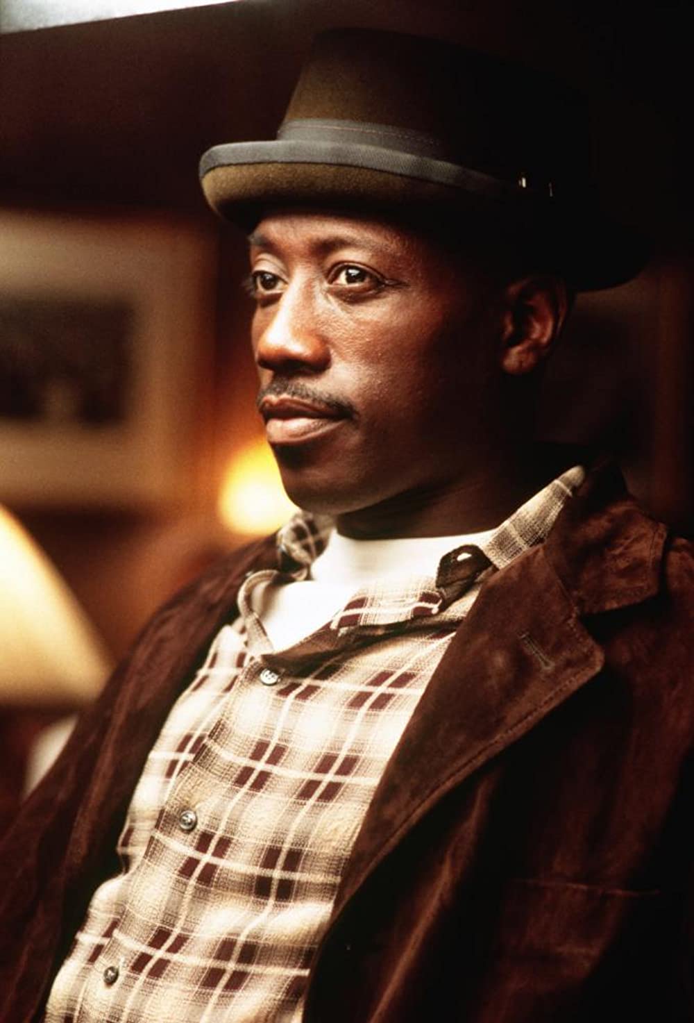 ザ・ファンの画像