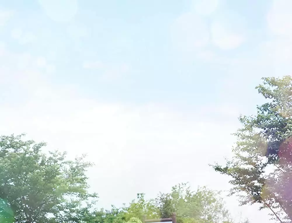 君と100回目の恋の画像