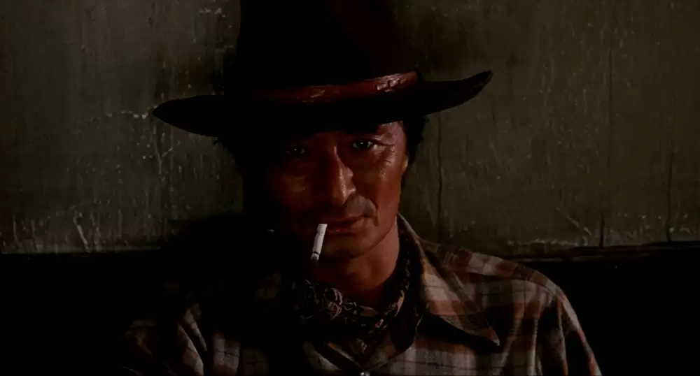 タンポポの画像