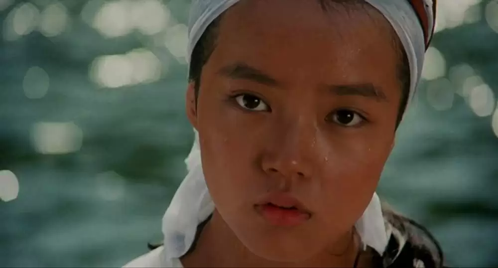 タンポポの画像