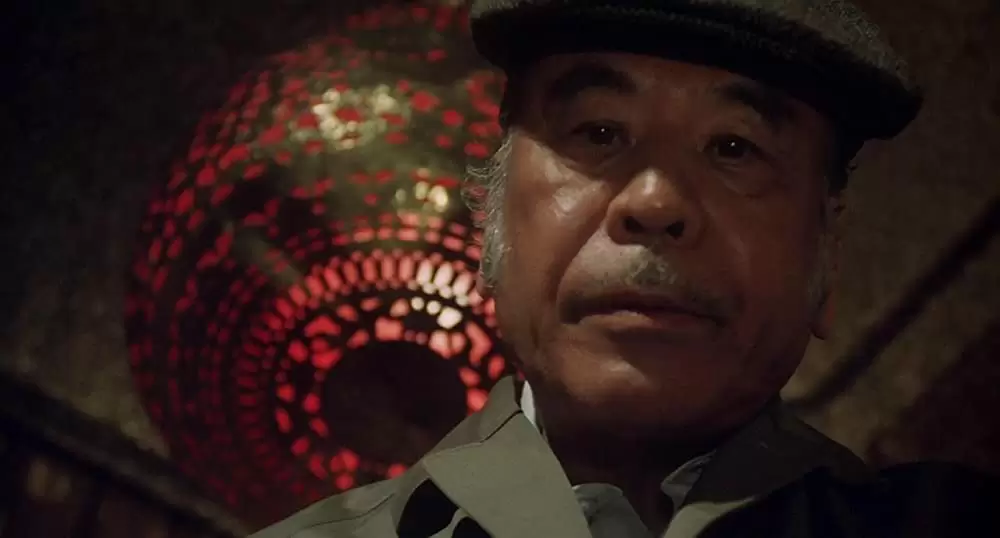 タンポポの画像