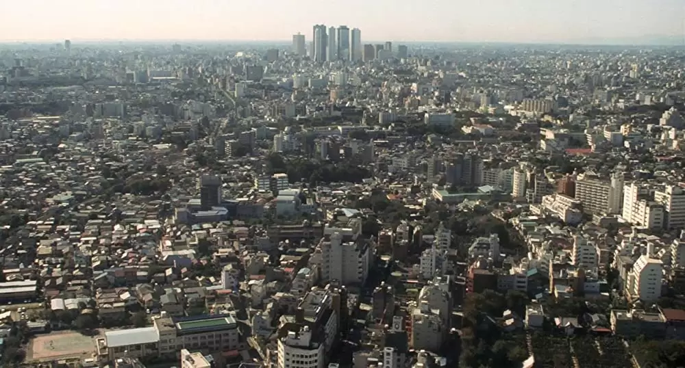 タンポポの画像