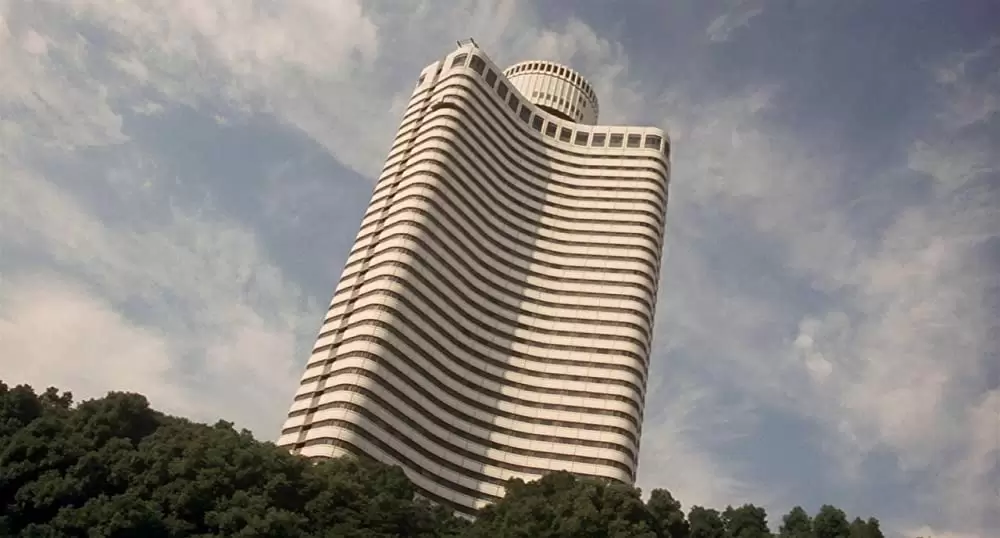 タンポポの画像