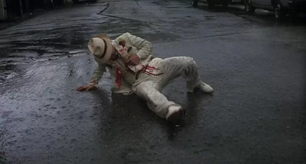 タンポポの画像