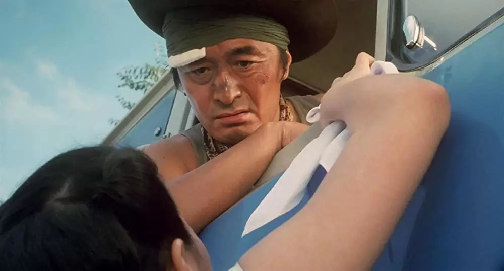 タンポポの画像