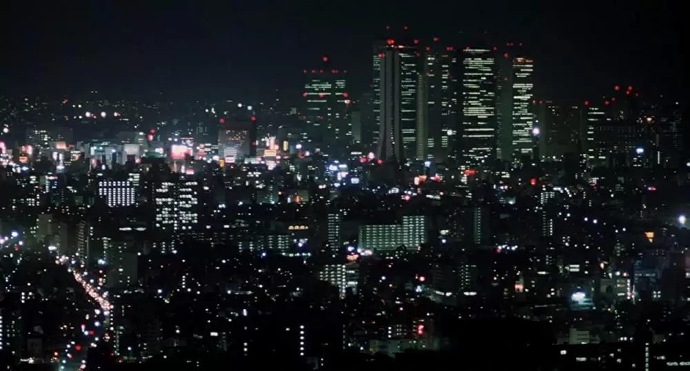 タンポポの画像