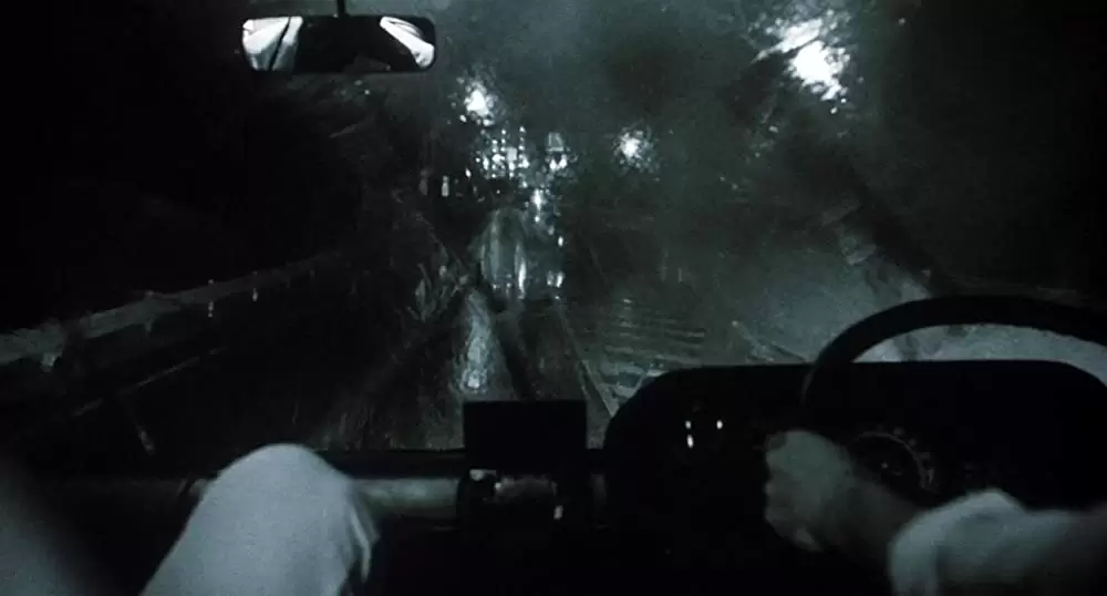 タンポポの画像