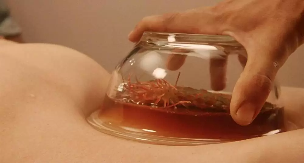 タンポポの画像