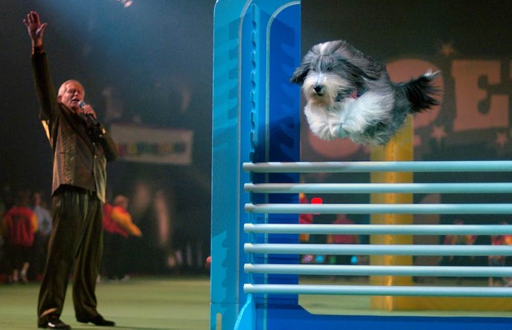 ダニエルとスーパードッグの画像