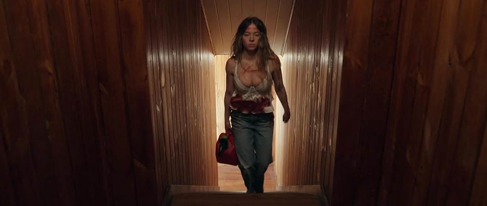 The Housemaid（原題）の画像