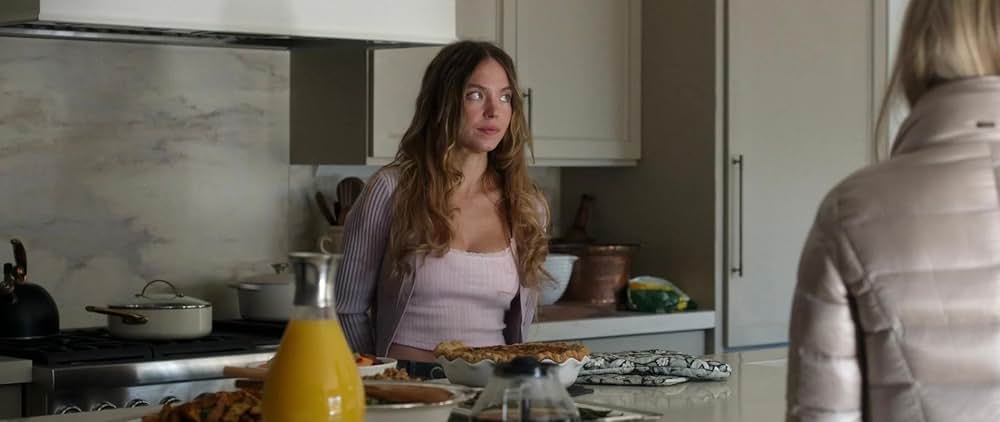 The Housemaid（原題）の画像