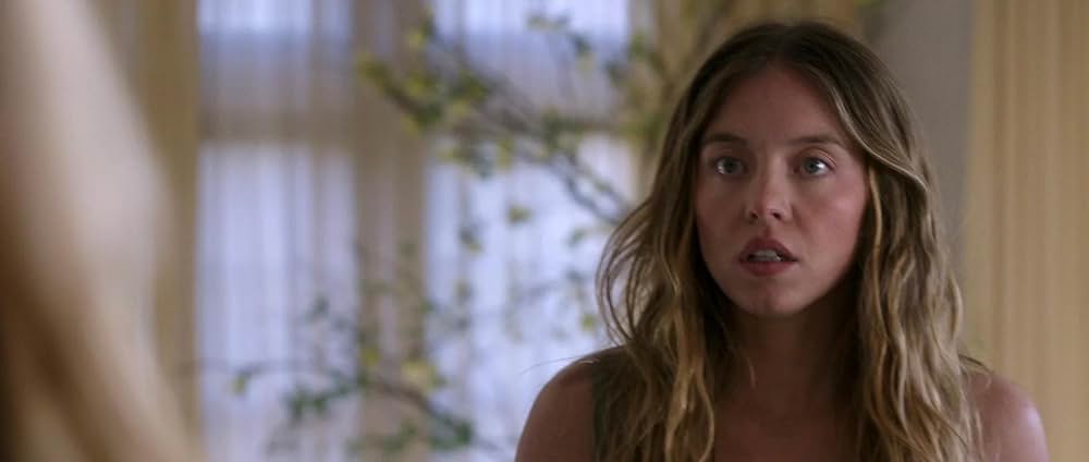 The Housemaid（原題）の画像