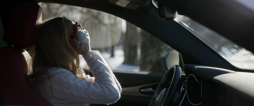 The Housemaid（原題）の画像