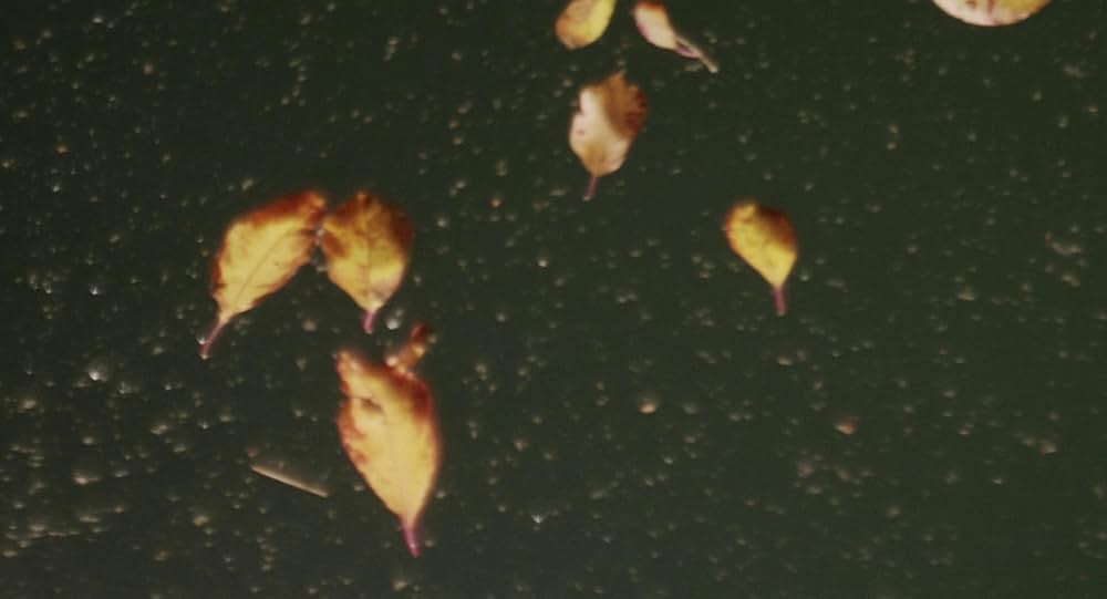 ハッパーズ・コメットの画像