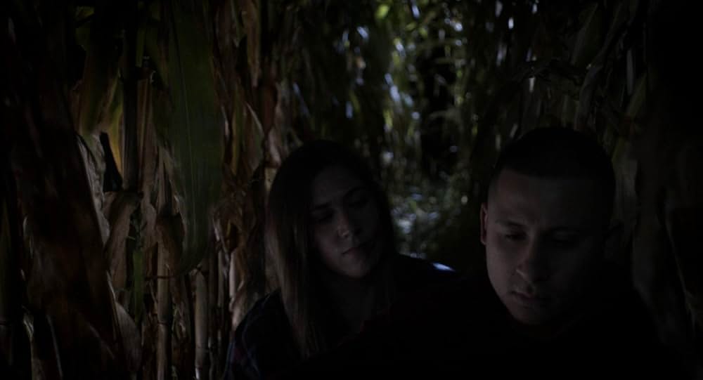 ハッパーズ・コメットの画像