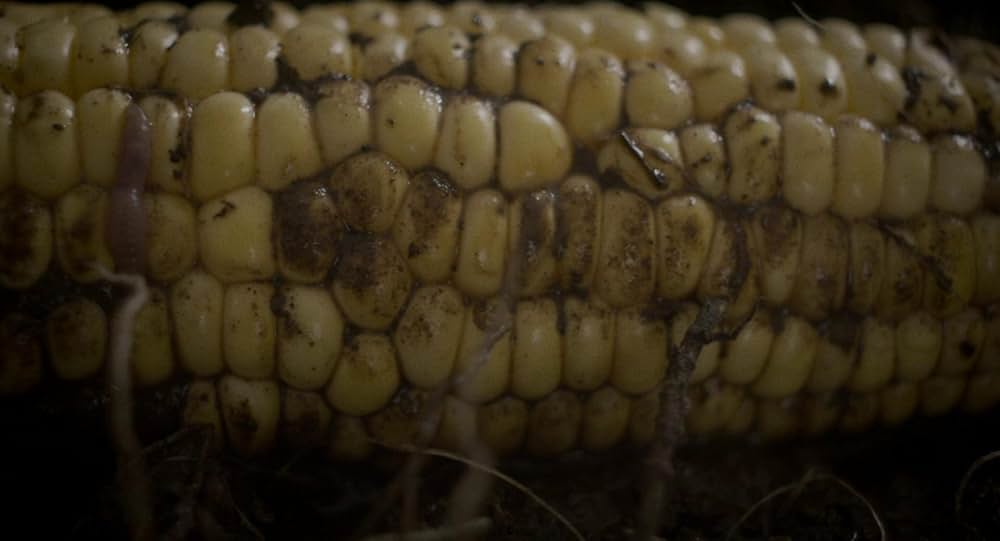 ハッパーズ・コメットの画像