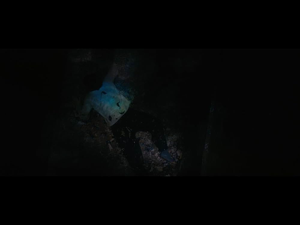 クロユリ団地の画像