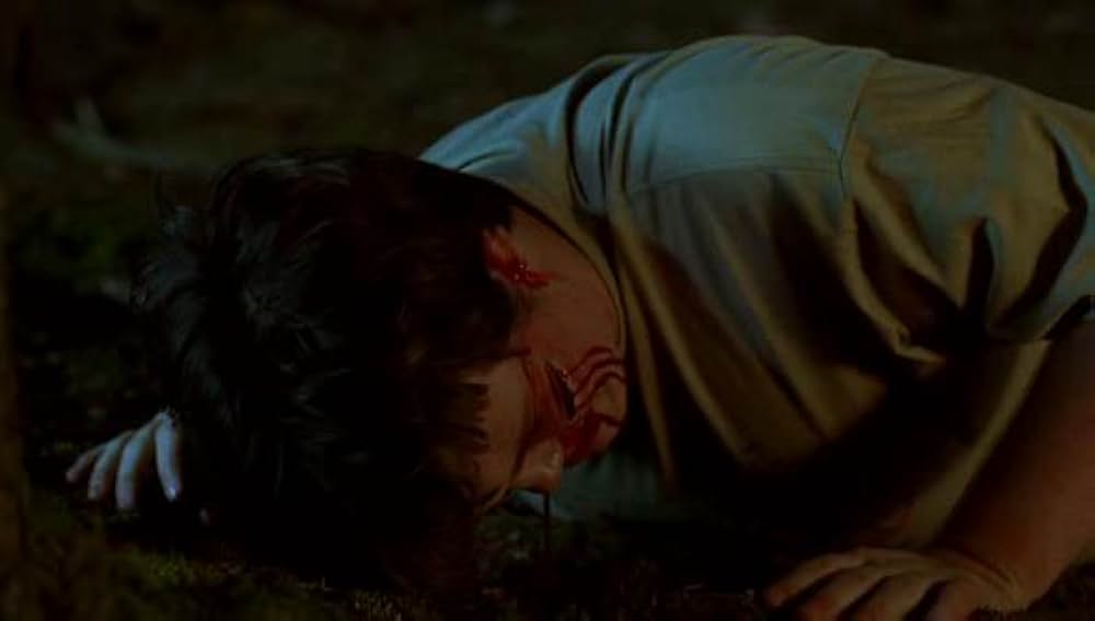 Return to Sleepaway Camp（原題）の画像