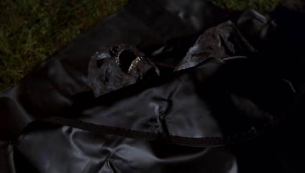 Return to Sleepaway Camp（原題）の画像