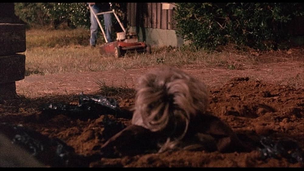 Sleepaway Camp III: Teenage Wasteland（原題）の画像