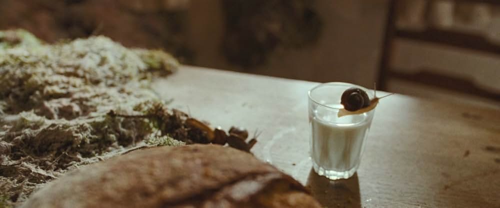 Rabbit Trap（原題）の画像