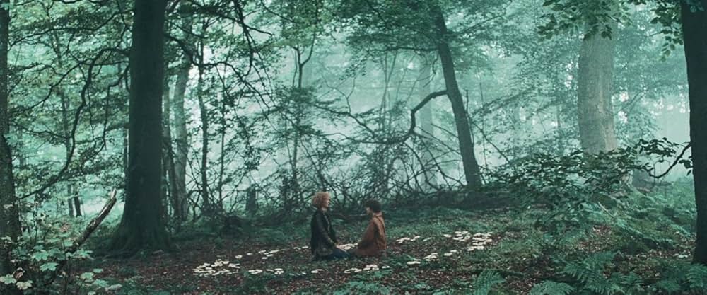 Rabbit Trap（原題）の写真